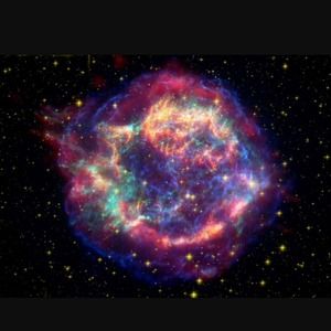 Meet your Posher, Red